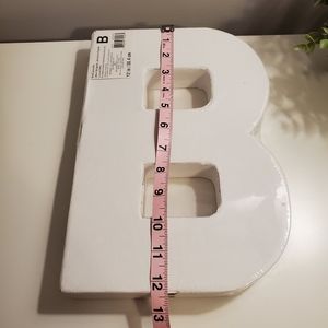 🌺 3/25 Letter, "B", primed canvas